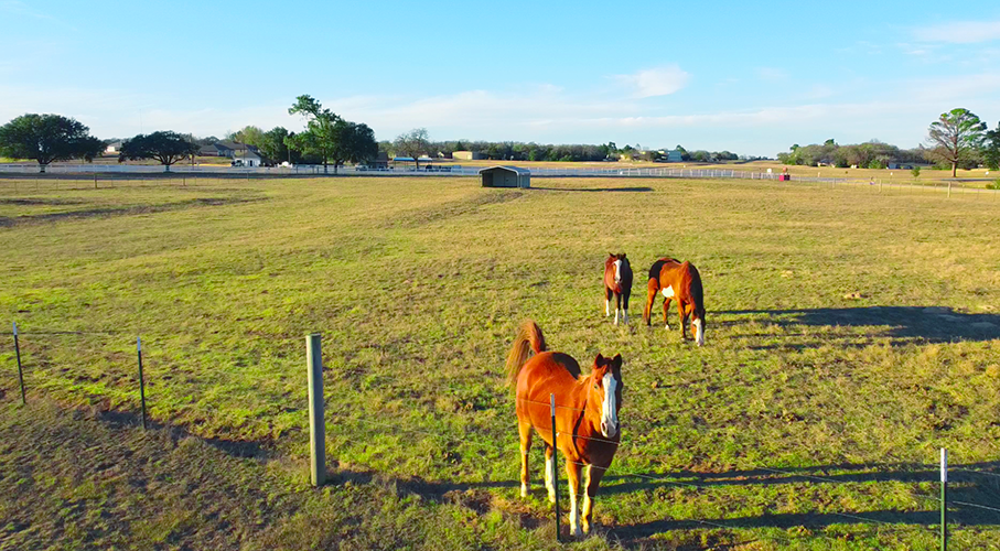 Hilltop Lakes Development Lots for Sale